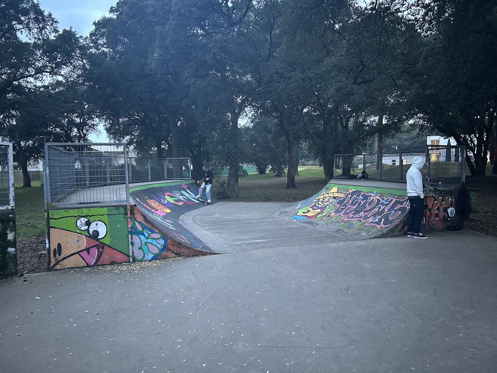 Tarnos skatepark